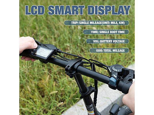 RCB RK6S Elektrofahrrad für Erwachsene, 36 V, 12 Ah, Abnehmbarer Akku Citybike (Laufradgröße: 20 Zoll, Unisex-Rad, 432wh, Schwarz