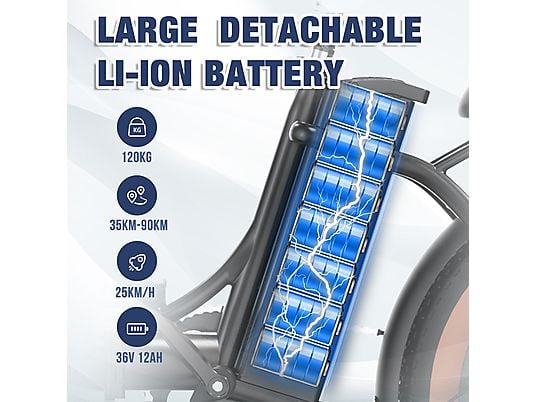 RCB RK6S Elektrofahrrad für Erwachsene, 36 V, 12 Ah, Abnehmbarer Akku Citybike (Laufradgröße: 20 Zoll, Unisex-Rad, 432wh, Schwarz